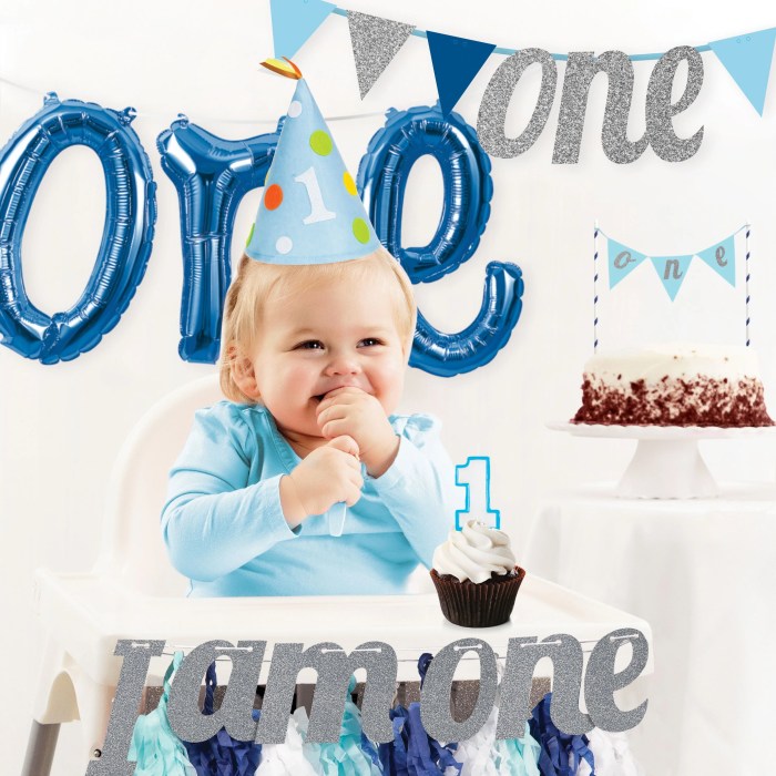 1 Year Birthday Decoration Ideas