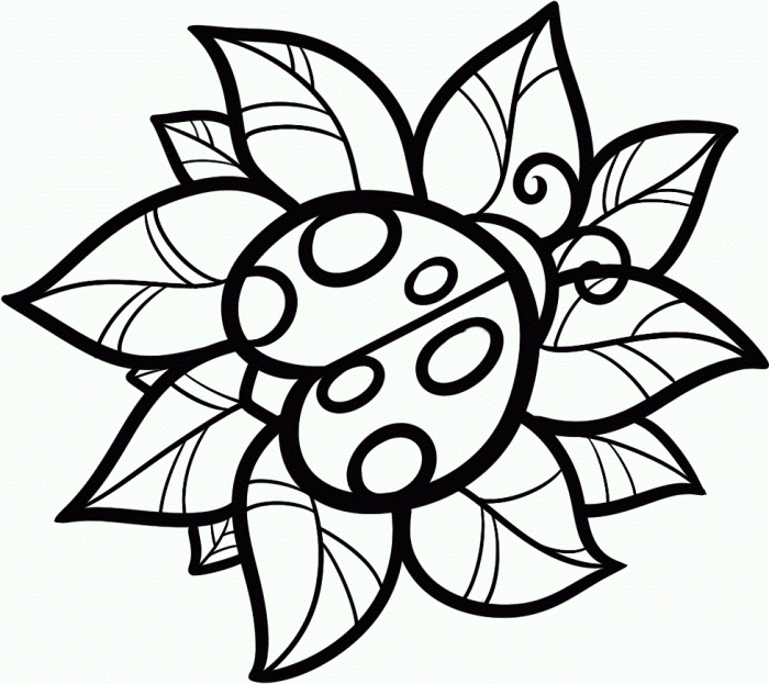 Ladybug Coloring Pages A Creative Exploration