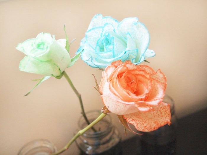 Roses and Food Coloring A Colorful Exploration