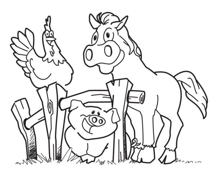 Farm animal coloring pages'