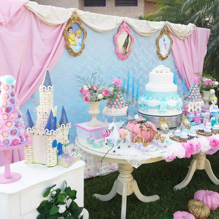 Decoration Cinderella Themed Birthday Party Ideas