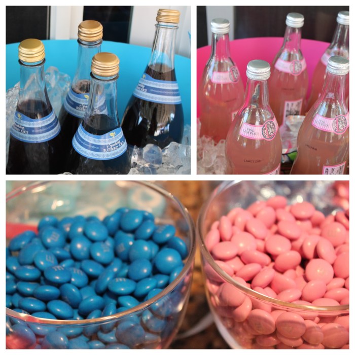 Party Decoration Kits Gender Reveal Ideas